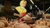 Harga Daging Ayam Merangkak Naik di Surabaya - Bagian 3