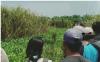 Cari Rumput di Pinggir Irigasi, Peternak Sapi Hilang Diseret Buaya Muara