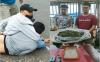 Bawa Sekantong Ganja, 2 Pemotor Diringkus Polisi di Jalinsum Empat Lawang