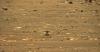 NASA Rencanakan Penerbangan Ketiga Helikopter Ingenuity di Mars   
