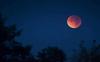 Gerhana Bulan Total 26 Mei, Dapat Dilihat dari Sumatera Selatan 