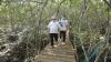 Promosikan Babel, Gubernur Ajak 2 Influencer Masuk Hutan Mangrove