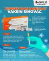 Infografis Proses dan Manfaat Vaksin Sinovac