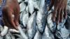 BPS: Manado Alami Deflasi 0,30 Persen di Mei, Dipicu Penurunan Harga Ikan