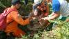 Nenek 80 Tahun Hilang di Tengah Hutan Sambas, Ditemukan Selamat