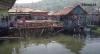 Video Fenomena Langka, Ribuan Ikan Dasar Laut Naik Kepermukaan di Tapanuli Tengah