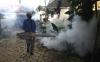Dua Keluarga Terserang Demam Berdarah, Fogging di Sobo Banyuwangi Digencarkan - Bagian 1