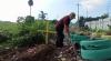 Kepling di Medan Buat Kuburan di Pinggir Jalan agar Warga Tak Buang Sampah Sembarangan