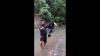 Tembak Burung Langka, Warga Bener Meriah Aceh Viral lalu Ditangkap Polisi