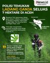 Infografis Pengungkapan 7 Hektare Ladang Ganja di Aceh