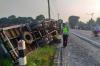 Truk Tronton Terguling di Jalan Wates-Jogja, Muatan Semen Tumpah di Persawahan