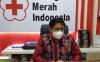 Stok Darah Plasma di PMI Banjarmasin Kosong, 30 Pasien Covid-19 Antre Pendonor