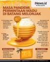 Infografis Masa Pandemi, Permintaan Madu di Batang Melonjak