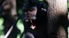 Melihat Aneka Satwa Liar di Balik Hutan Mangrove Wonorejo - Bagian 3