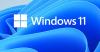 Cara Download Windows 11 Beta