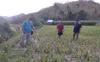 Warga Desa Campa Bima Digegerkan Penemuan Mayat di Sawah