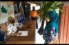 Unik, Warga Banyumas Bawa Tanaman Talas Ganyong untuk Ambil Bansos