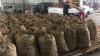 Biaya Kirim Mahal, Ekspor 40 Ton Biji Kopi ke Kanada Ditunda