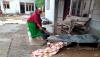 BPBD: Banjir di Aceh Utara Mulai Surut, Jalan Bisa Dilewati