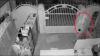 Pencurian di Rumah Ibu Muda, Detik-Detik Pria Berkumis Mau Maling Tabung Elpiji Terekam CCTV