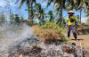Harga Anjlok Rp5.000 per Kg, Cabai di Kulonprogo Dicabuti dan Dibakar Petani