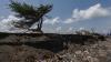 Gelombang Tinggi, Pesisir Pantai Cilacap Selatan Abrasi Sejauh 10 Meter - Bagian 3