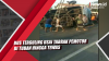 Video Bus Terguling usai Tabrak Pemotor di Tuban hingga Tewas
