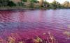 Geger Danau Berubah Warna jadi Merah Darah, Begini Penampakannya