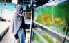 Warga Klaten Ini Sukses Budi Daya Ikan Hias di Tengah Pandemi, Raup Omzet Rp30 Juta per Hari