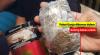 Pengiriman Paket Ganja 50 Gram Digagalkan  Bea Cukai dan Polres Kudus 