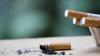Puntung Rokok Milik Danu Ditemukan di TKP Pembunuhan Ibu-Anak di Subang, Ini Kata Keluarga