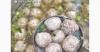 Cara Membuat Bumbu Kuah Bakso Enak dan Gurih, Ini Resep Spesialnya 
