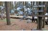 Imlek 2023, Jumlah Wisatawan ke Kawasan Hutan Pinus Mangunan Anjlok 