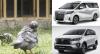 Wow, Burung Merpati Milik Warga Pekalongan Ini Seharga Alphard Baru Plus Innova 