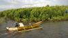 Program Mageri Segoro, 3.600 Mangrove Ditanam di Pesisir Kendal 