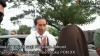 Viral Video Momen Warga Berhentikan Iring-iringan Presiden Jokowi di Papua