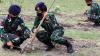 Prajurit TNI Tanam 200 Pohon Tabebuya  - Bagian 4