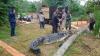Foto-Foto Tumpukan Buaya Ganas Seberat 400 Kg Dievakuasi, Total 30 Ekor