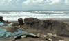 Tanggul Pantai Lengkong Cilacap Jebol Tergerus Abrasi, Puluhan Tambak Udang Hancur
