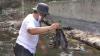 Puluhan Ikan di Sungai Lusi Blora Ditemukan Mati, Diduga Ini Penyebabnya 