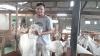 Pulang Kampung Selama Pandemi, Mahasiswa IPB asal Kalbar Ternak Kambing Omset Rp400 Juta
