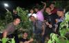 Malam Hari Gerebek Ladang Ganja di Tengah Hutan, Polisi Temukan Perempuan Cantik Seorang Diri 