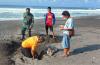 Bangkai Penyu Ditemukan Terdampar di Pantai Pandansari Bantul, Kepalanya Hilang