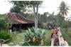 11 Tempat Makan di Gunung Kidul Ini Jadi Surganya Kuliner Para Pelancong