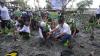 Cegah Abrasi, Gubernur Khofifah Gencarkan Aksi Nandur Mangrove di Pesisir Gresik 