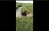 Viral Video Aksi Petani di Demak Protes Harga Bawang Merah Anjlok 