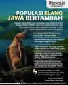 Infografis Penambahan Populasi Satwa Elang Jawa di Taman Nasional Bromo Tengger Semeru