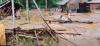 Banjir Bandang Terjang Malaipea Alor, Sejumlah Rumah Rusak Hewan Ternak Hilang