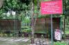 Awas, Pacaran di Taman Jogja akan Didenda Rp2 Juta