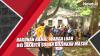 Ragunan Ramai, Warga Luar DKI Jakarta Sudah Diizinkan Masuk